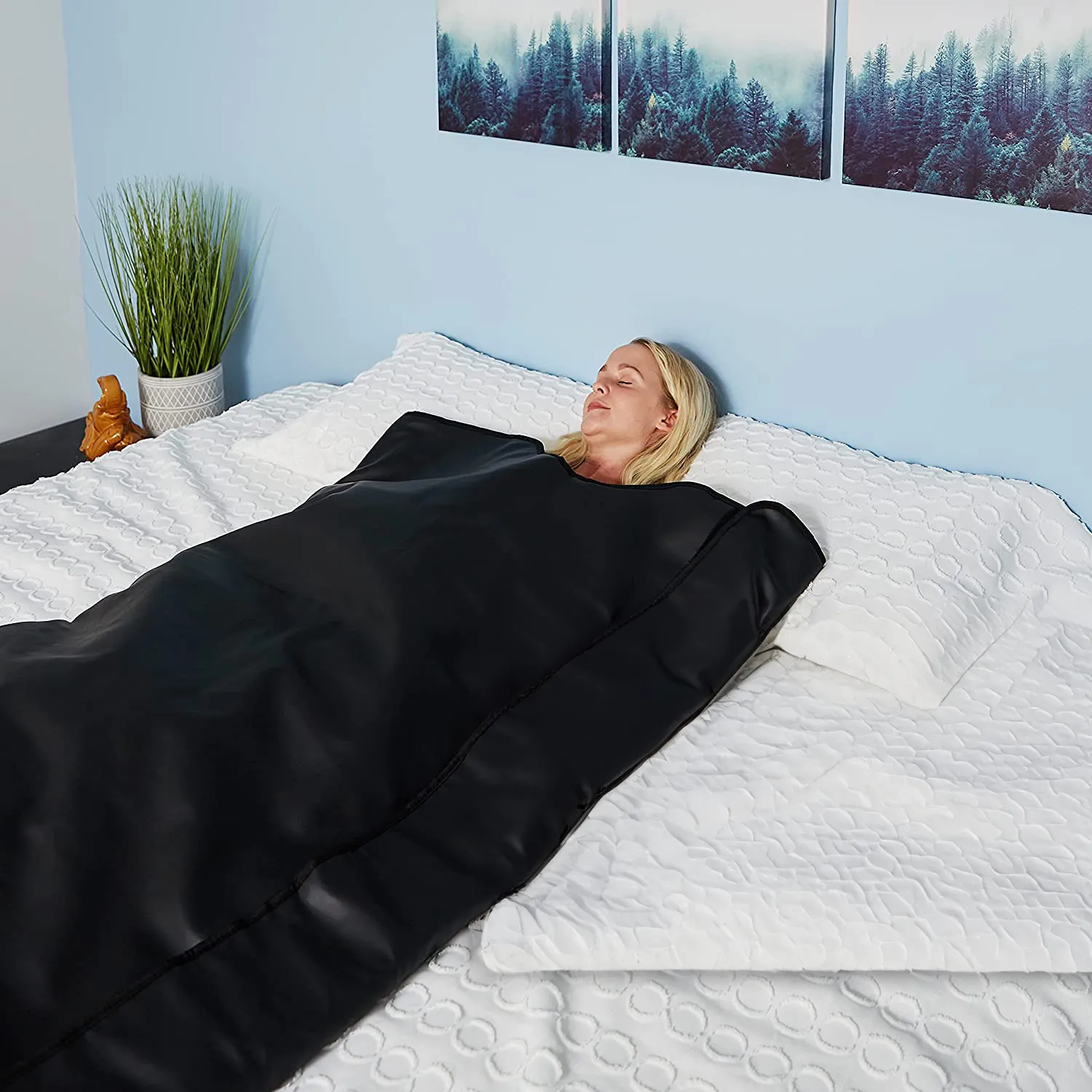 Hem Sauna